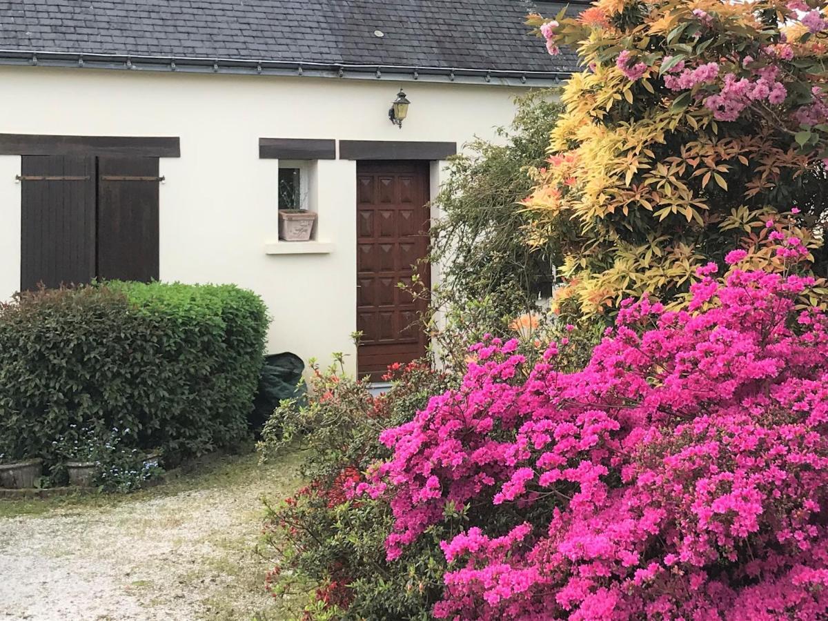 Ti Cairn Villa Moelan-sur-Mer Exterior photo